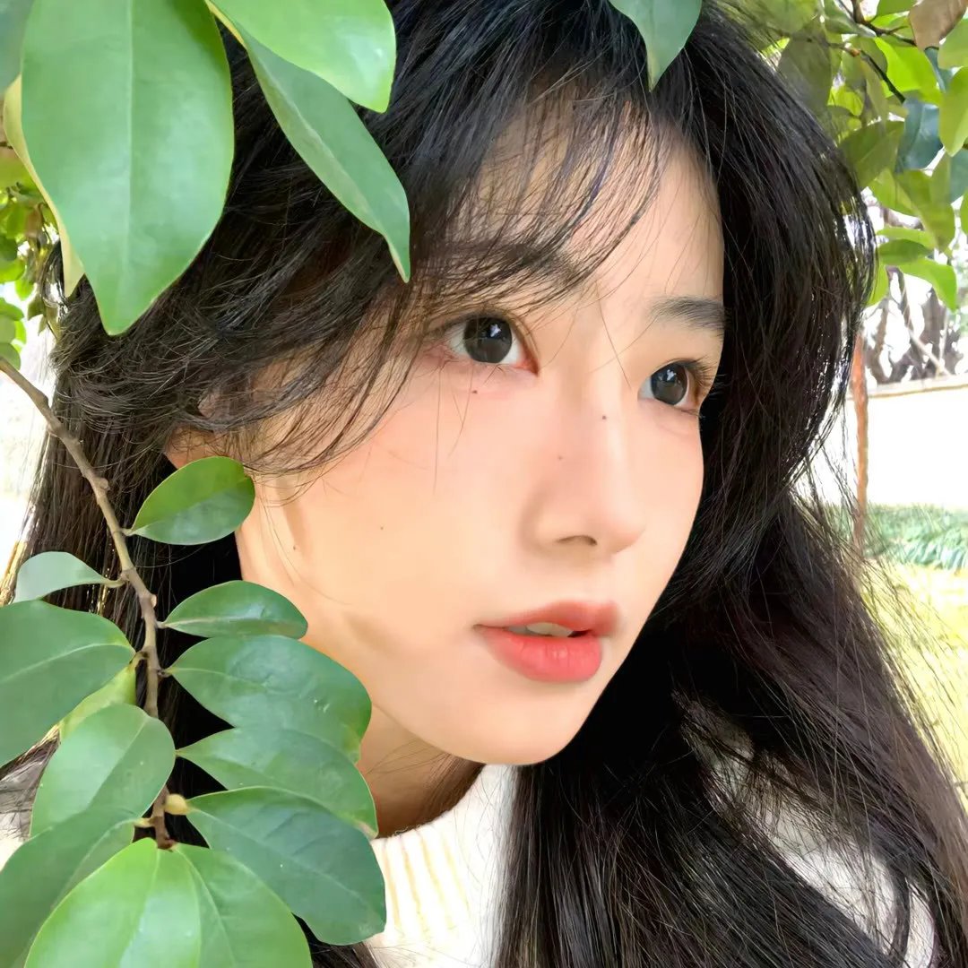 第一企鹅!